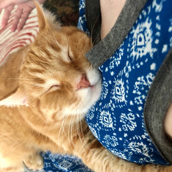 Meet your Posher, O - Picture 2 of 2